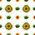 Seamless pattern fern leaves with sunflower in the middle